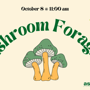 Mushroom Foraging Flyer