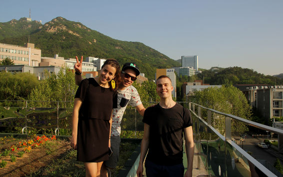 Ympäristötekniikan laitoksen katolla testataan uudenlaisia viljelymenetelmiä kattopuutarhassa. SNU. Kuvassa Rosa Väisänen, Niko Ferm ja Tapio Hautamäki. Kuva: Emma Savela