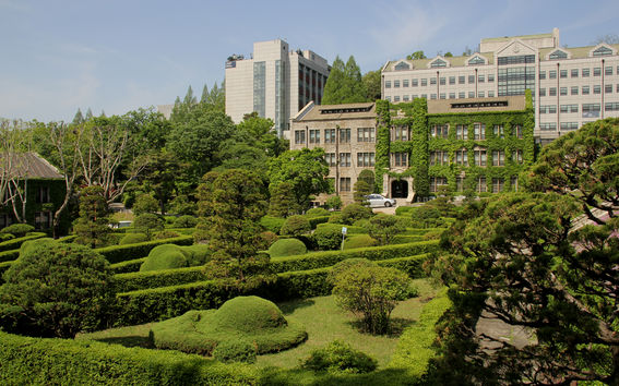 : Vihreä miljöö Yonsein pääkampuksella. Yonsei. Kuva: Emma Savela