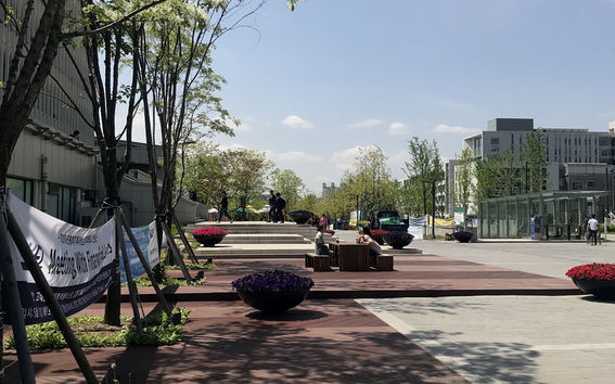 Yonsein kampuksella miellyttävät istuskelu- ja oleskelupaikat syntyvät kasvillisuudesta ja erilaisten pintamateriaalien käytöstä. Yonsei. Kuva: Emma Savela