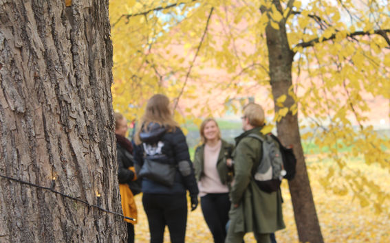 Kuvapankki_Ryhmätyö_1