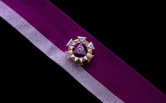 Kuva ansiomerkistä.