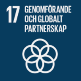 Agenda 2030, tavoite 17