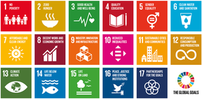 UN sustainable development goals