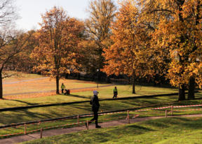 Puistomainen aurinkoinen syysnäkymä, lehtiä puhalletaan puhaltimilla ja mies kävelee huppu päässä poispäin.