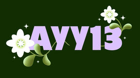AYY13