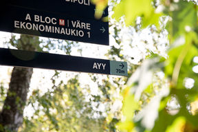 A road sign to AYY office.