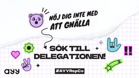 Nöj dig inte med att gnälla, sök till delegationen