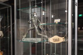 Paavo Nurmen patsas ja Kaisa Koistin teos vitriinissä Opiskelijakulttuurimuseolla.