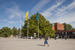 Korkeakoulunaukio kesällä.