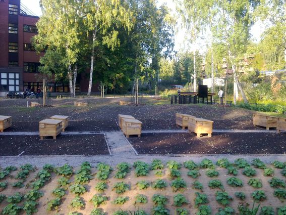 Otaniemen kaupunkiviljely-yhdistys