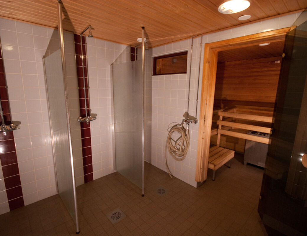 Ossinsauna_sauna
