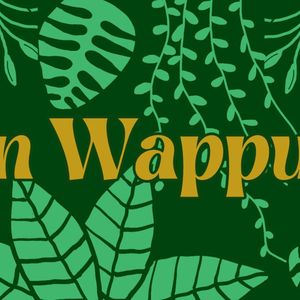 Dipolin Wappu 2023