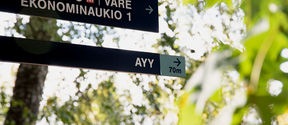 A road sign to AYY office.