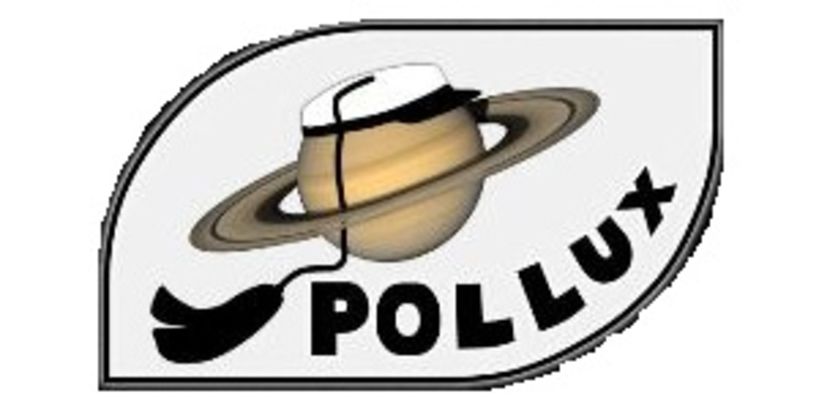 Pollux logo