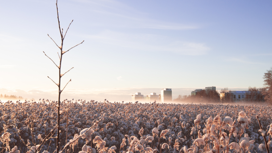 Winter view at Otaniemi